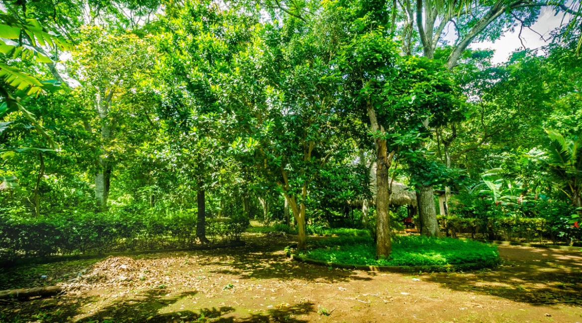 1629-Quinta-Violeta-a-farmland-for-sale-5-acres-in-Jinotepe-Nicaragua-20