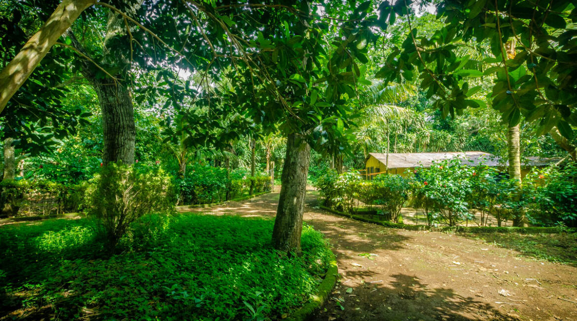 1629-Quinta-Violeta-a-farmland-for-sale-5-acres-in-Jinotepe-Nicaragua-21